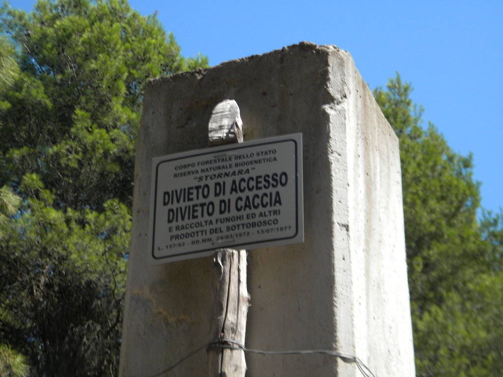 DSCN2634 .JPG